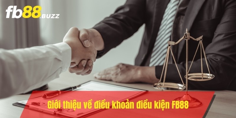 Giới thiệu về điều khoản điều kiện FB88