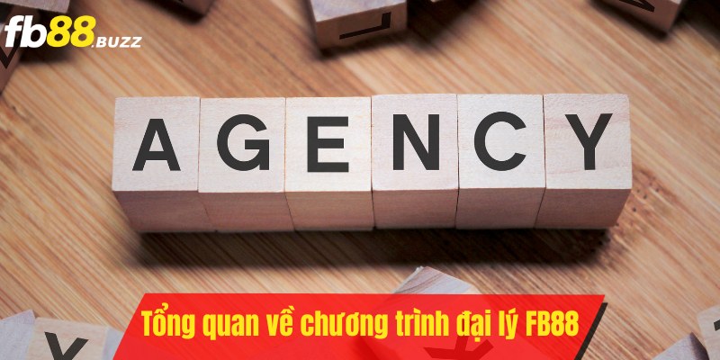 Giới thiệu về chương trình đại lý tại nhà cái FB88