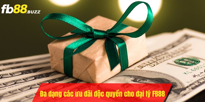 Nhà cái đưa ra nhiều ưu đãi độc quyền cho đại lý FB88